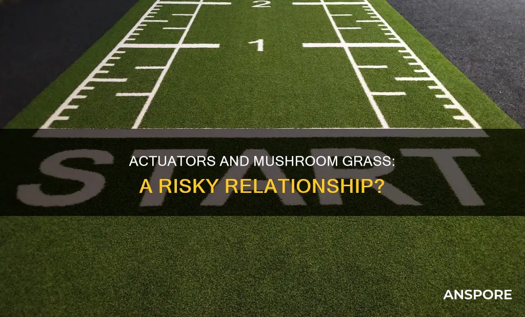 will actuators break mushroom grass