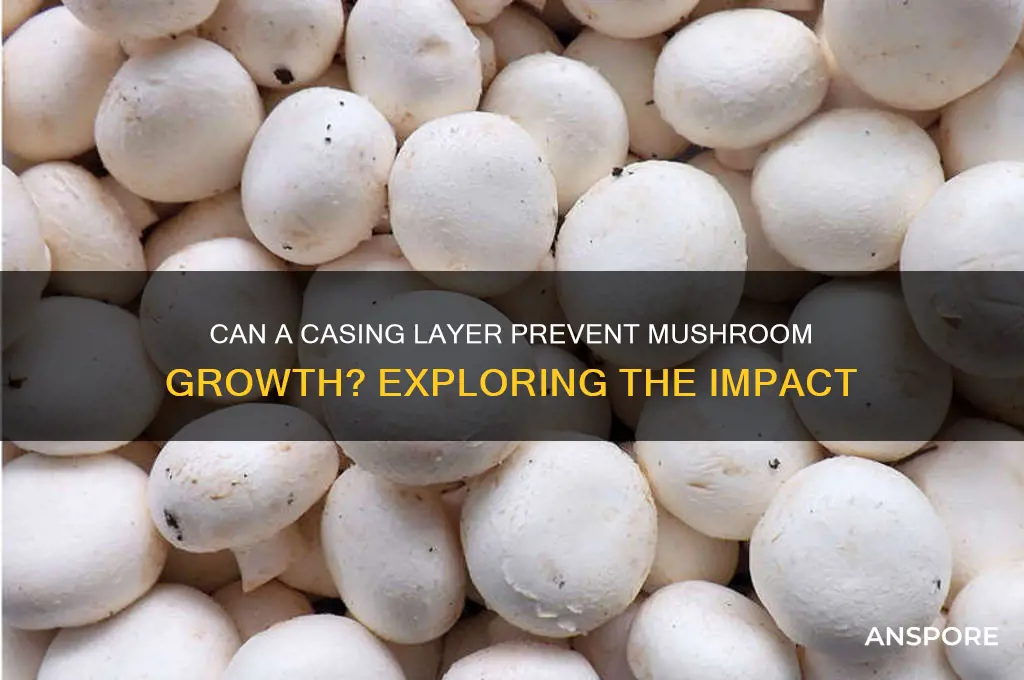 will adding a casing layer stall stop mushrooms from growing