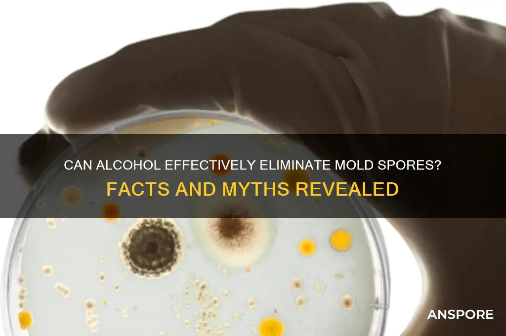 will alcohol kill mold spores