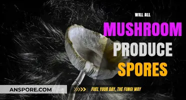 Mushroom Mysteries: Do All Mushrooms Spawn Spores?