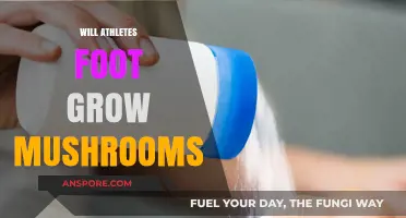 Can Athlete's Foot Lead to Mushroom Growth? Unraveling the Myth