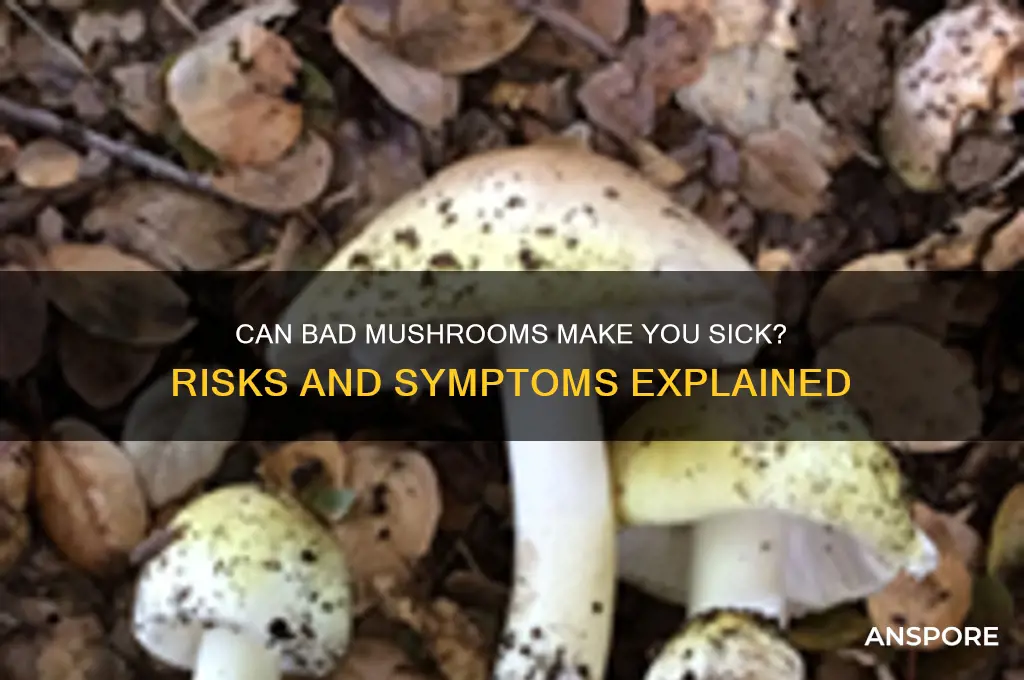 will bad mushrooms make you sick