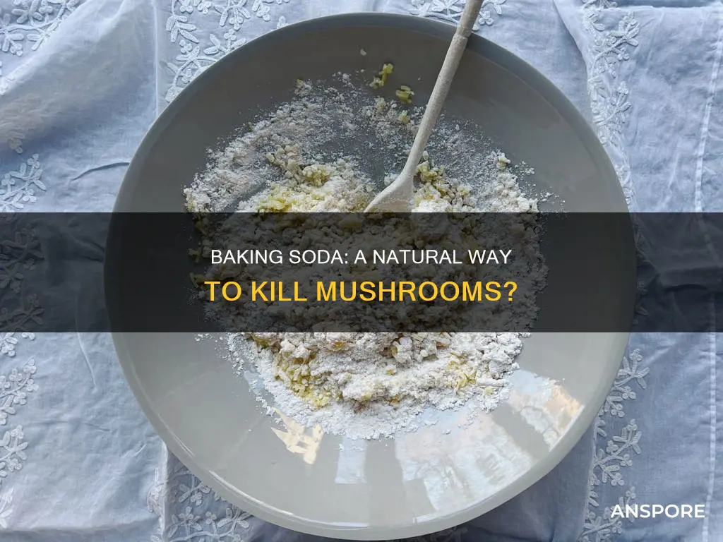 will baking soda kill mushrooms