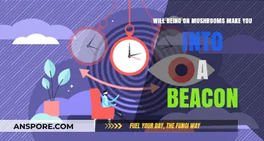 Mushrooms and Mysticism: Can Psilocybin Turn You into a Beacon?