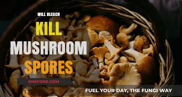 Bleach vs. Mushroom Spores: Effective Killer or Not?