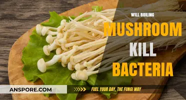 Boiling Mushrooms: Bacteria Killer or Myth?