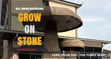 Can Brown Mushrooms Thrive on Stone Surfaces? Exploring Growth Possibilities