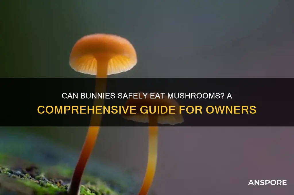 will bunnies eat mushrooms