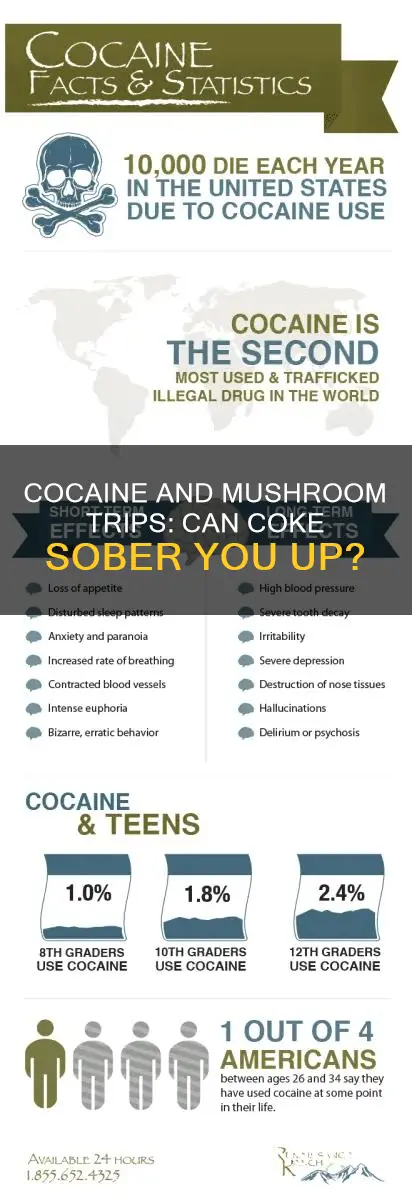 will cocain sober mushroom trip
