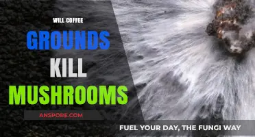 Coffee Grounds: Friend or Foe to Mushrooms?