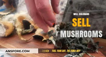 Mushroom Sales in Colorado: What's the Deal?