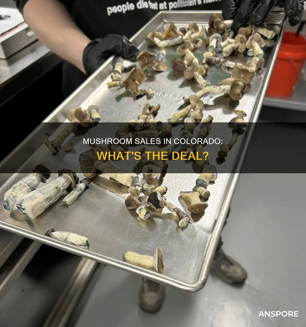 will colorado sell mushrooms