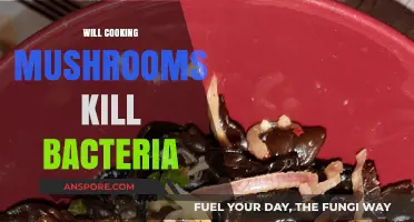 Cooking Mushrooms: Does Heat Eliminate Bacteria Effectively?