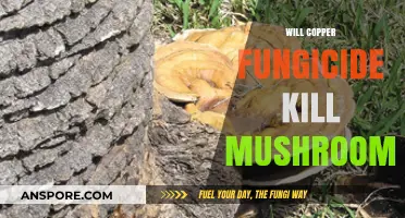 Copper Fungicide: Friend or Foe to Mushrooms?