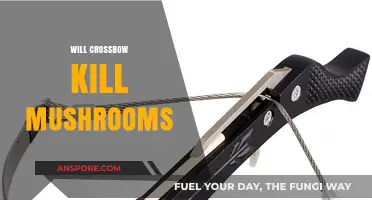 Crossbow vs. Mushrooms: Can You Kill Fungi with a Crossbow?