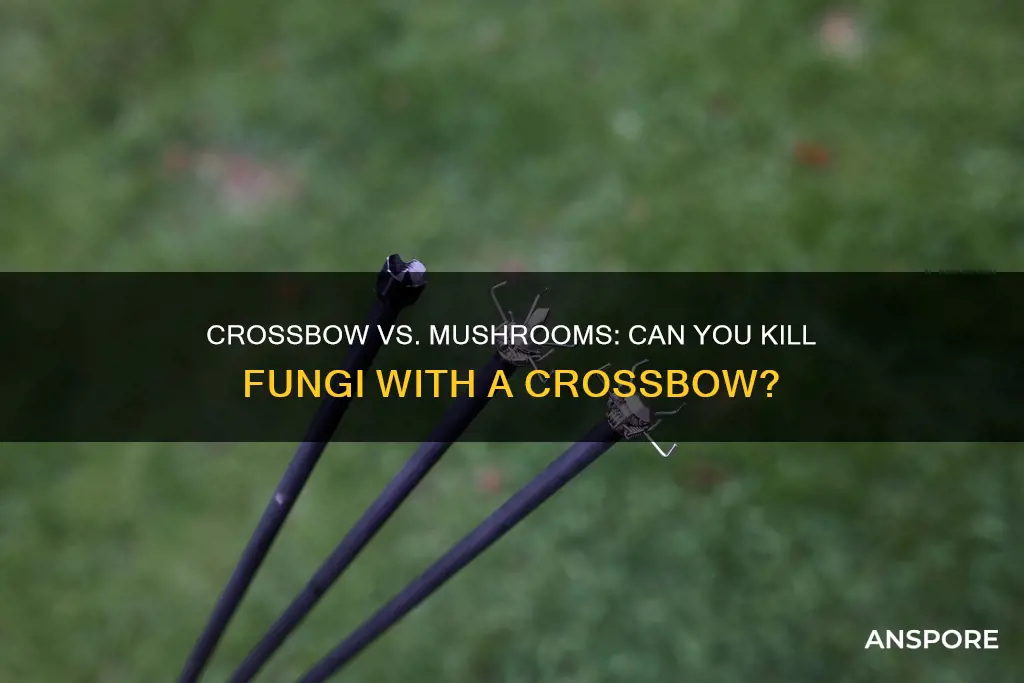 will crossbow kill mushrooms