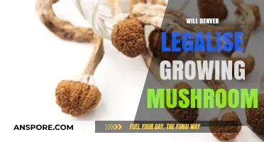 Denver's Psychedelic Shift: Will Mushroom Cultivation Soon Be Legal?