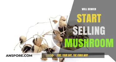Denver's Mushroom Revolution: Legalization and Sales