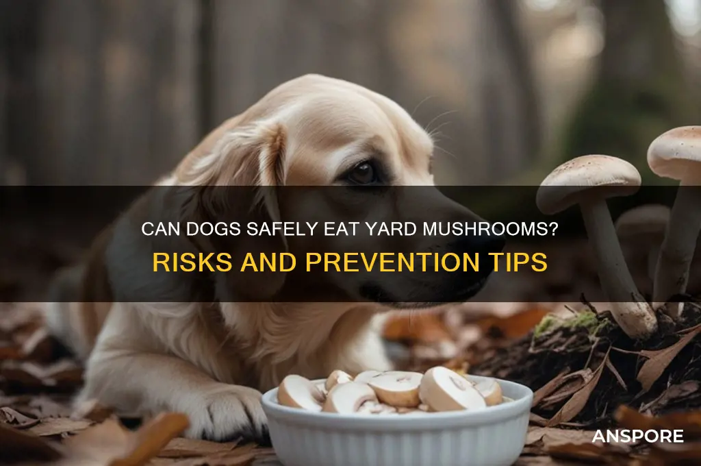will dogs eat mushrooms in the yard