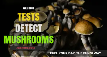 Mushroom Detection in Drug Tests: What You Need to Know