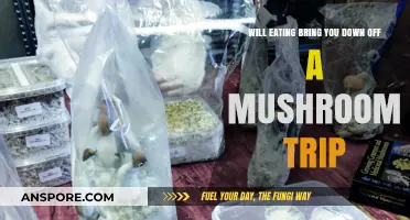 Can Eating Help You Come Down from a Mushroom Trip?