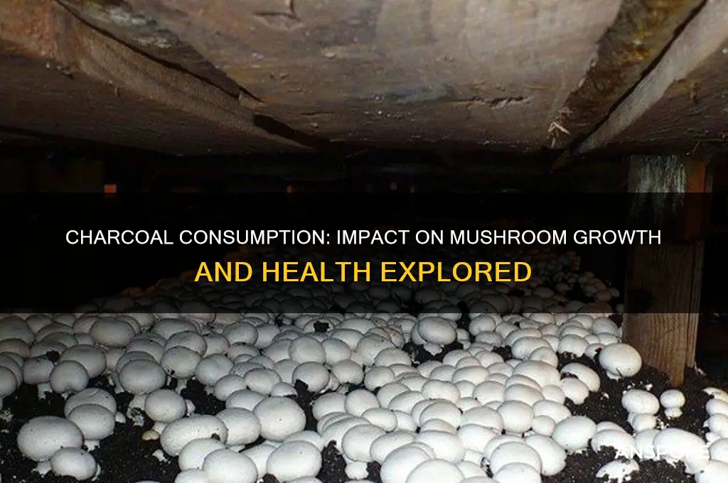 will eating charcoal effect mushrooms