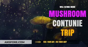 Can Eating More Mushrooms Lead to Ongoing Psychedelic Experiences?