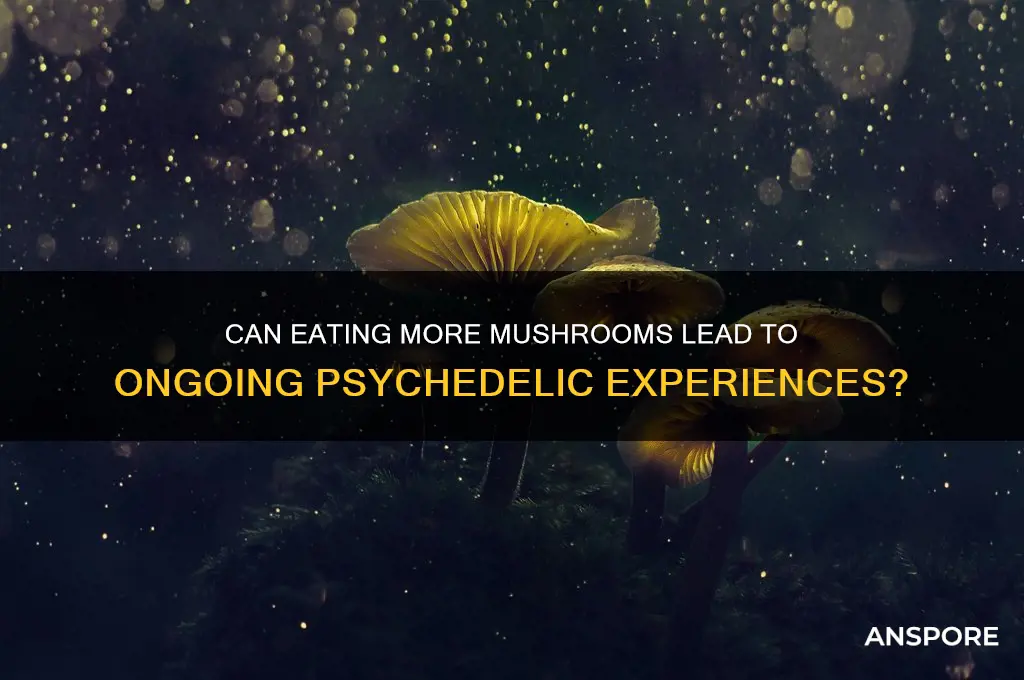 will eating more mushrooms contunie trip