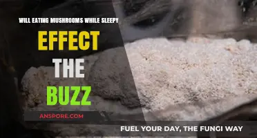 Mushrooms and Sleepiness: How Do They Affect Your Buzz?