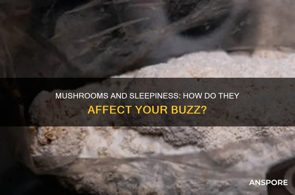 will eating mushrooms while sleepy effect the buzz