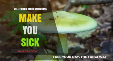 Can Old Mushrooms Harm You? Risks of Eating Aged Fungi
