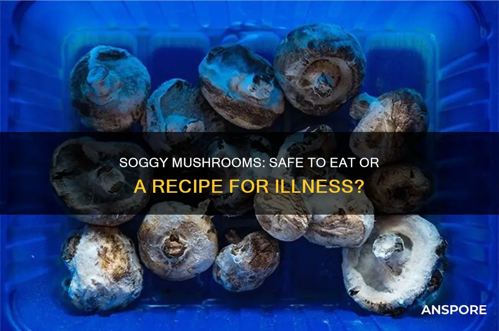 will eating soggy mushrooms make you sick