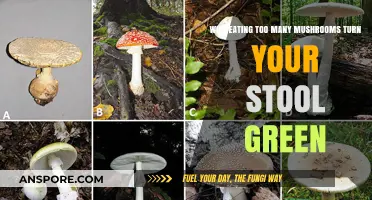 Can Overeating Mushrooms Cause Green Stool? Unraveling the Myth