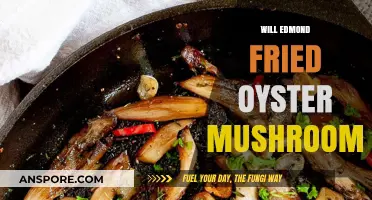 Edmond's Fried Oyster Mushrooms: A Tasty Treat