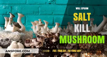 Epsom Salt: A Natural Way to Kill Mushrooms?