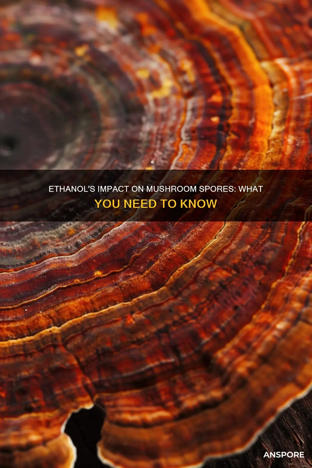 will ethanol hurt mushroom spores