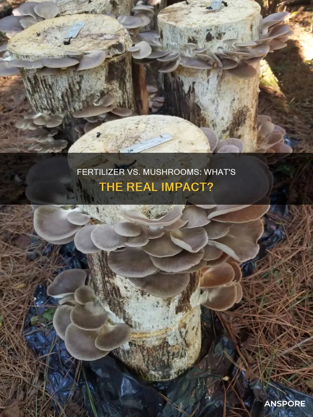 will fertilizer kill mushrooms