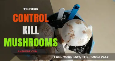 Fungus Control: Killing Mushrooms?