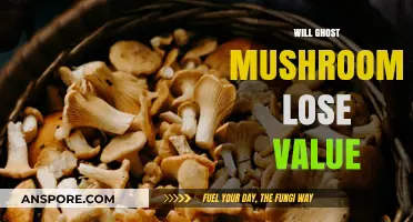 Ghost Mushrooms: A Future Value Dip?
