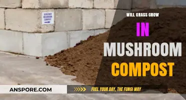 Can Mushroom Compost Help Grass Grow? A Gardening Guide