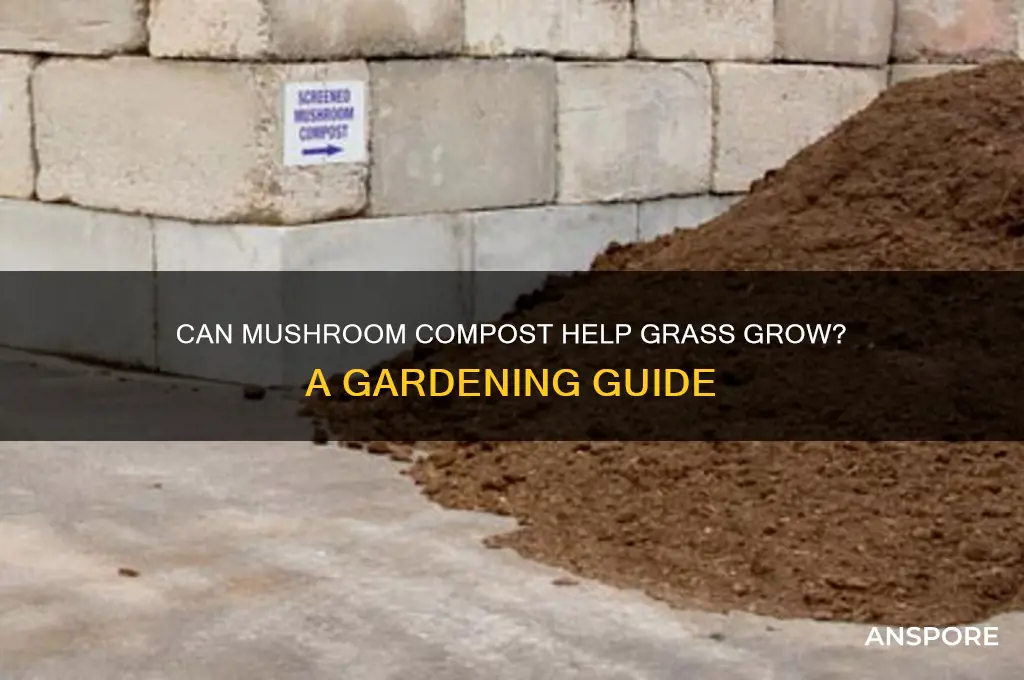 will grass grow in mushroom compost