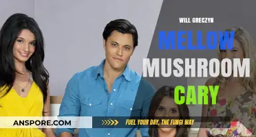 Mellow Mushroom's New Face: Will Greczyn