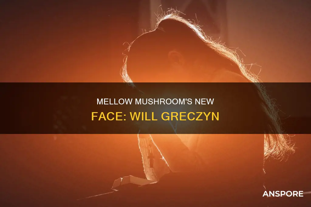 will greczyn mellow mushroom cary