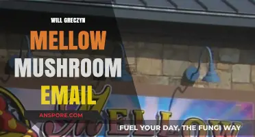 Mellow Mushroom's Email Marketing: A Success Story