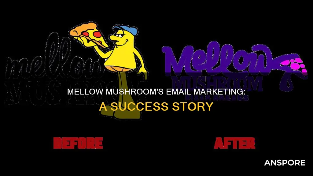 will greczyn mellow mushroom email