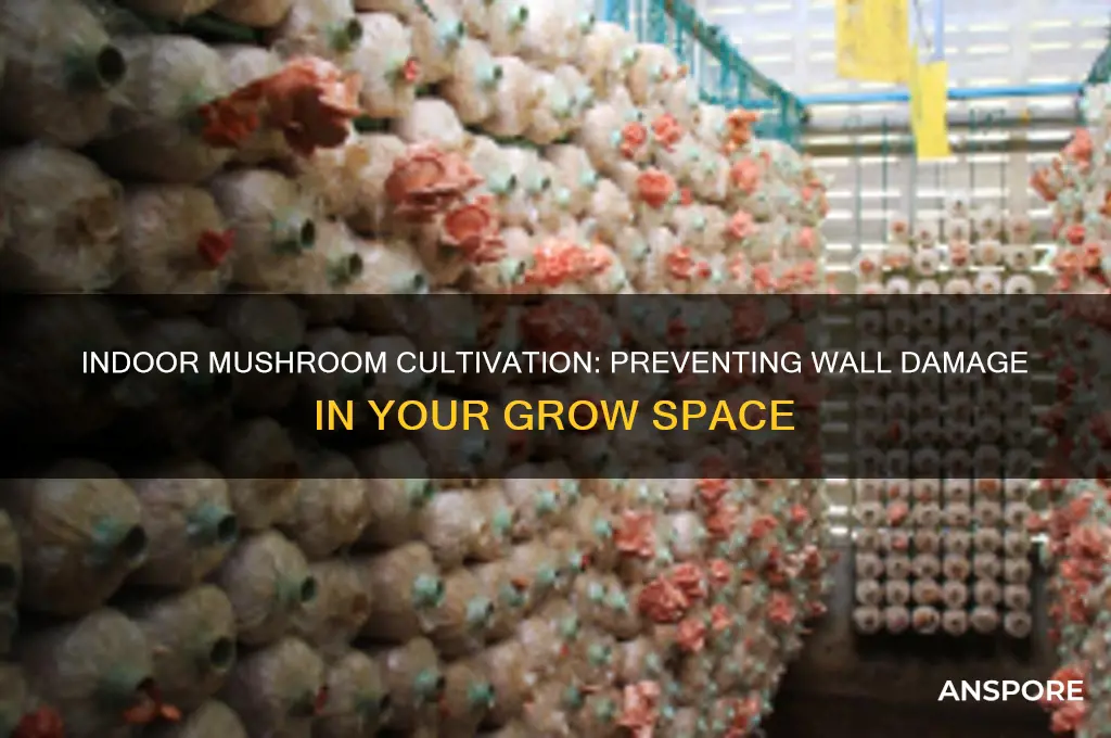 will growing mushrooms indoors ruin my walls
