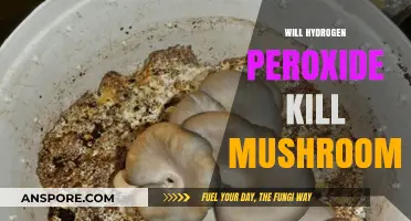 Hydrogen Peroxide vs Mushrooms: Effective Killer?