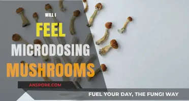 Microdosing Mushrooms: What Sensations Can You Expect?