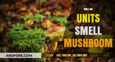 Sniffing Out Shrooms: K9 Units and Mushroom Scents