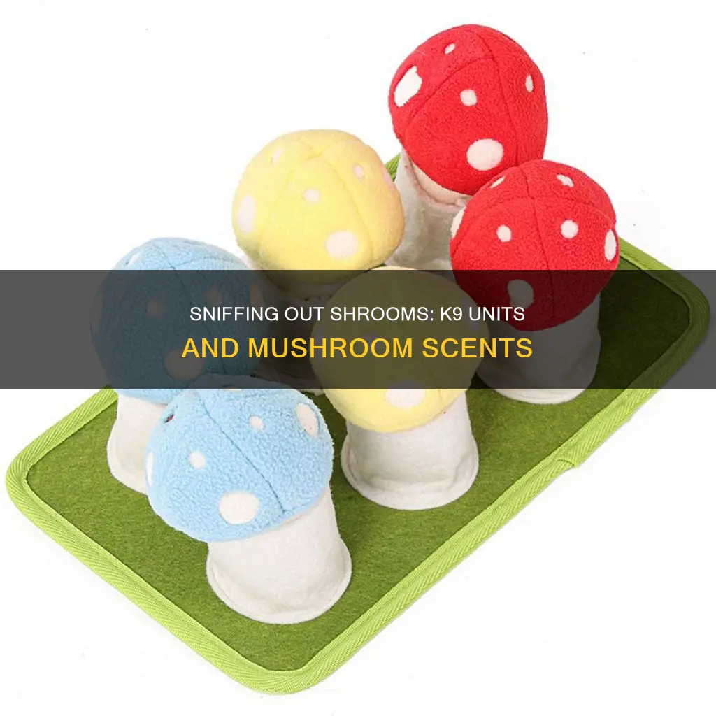 will k9 units smell mushrooms
